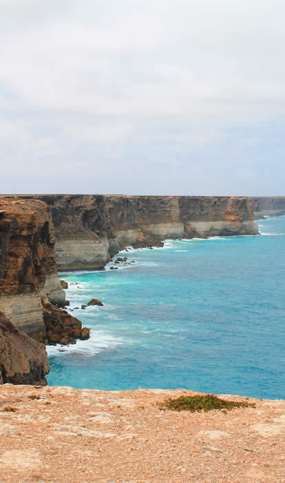 Swimming with Sealions, Seal Cove - credit SATC