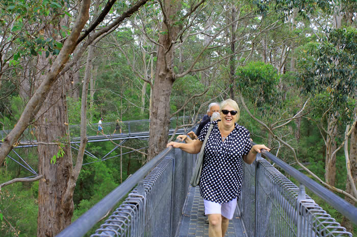 Valley of the Giants Tree Top Walk 