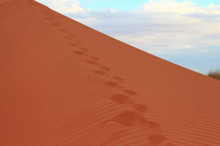 Big Red in the Simpson Desert
